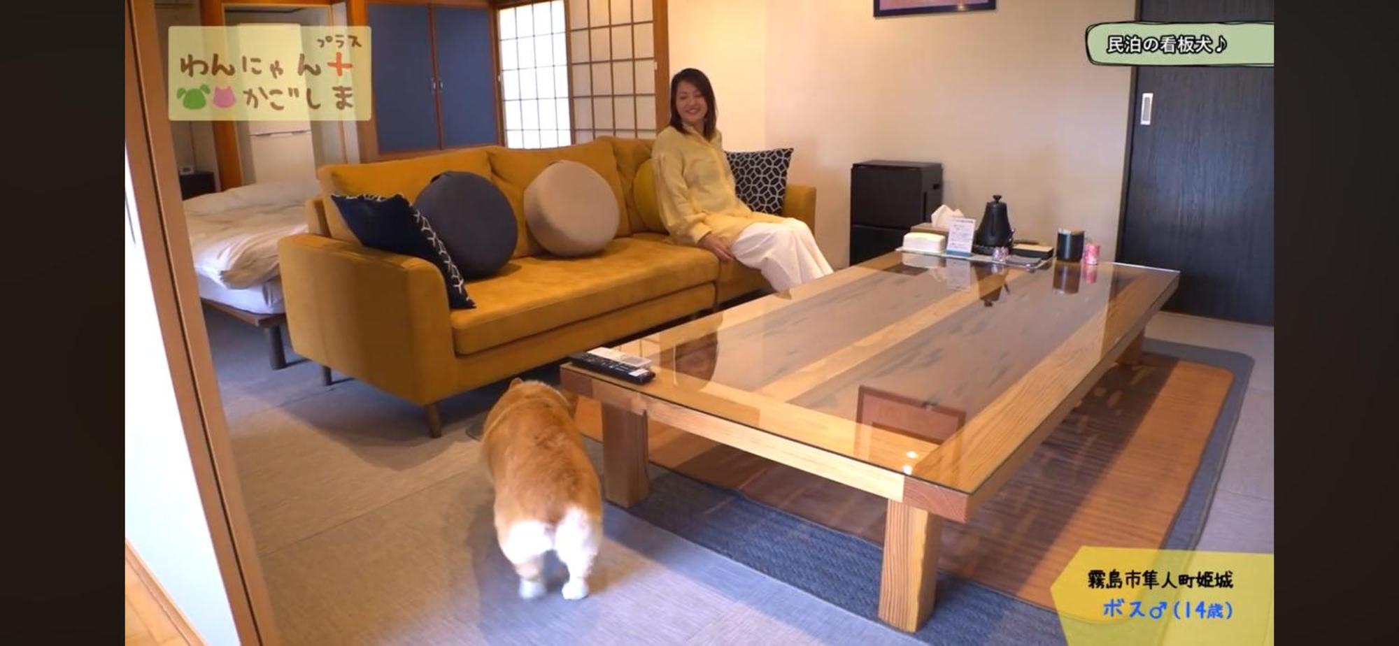 Boss'Shouse 犬ok 1組限定の宿 Кирисима Экстерьер фото